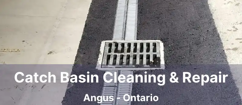  Catch Basin Cleaning & Repair Angus - Ontario