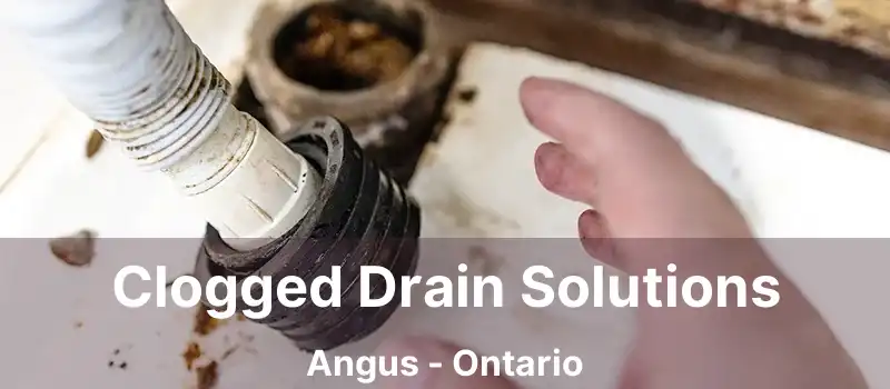  Clogged Drain Solutions Angus - Ontario