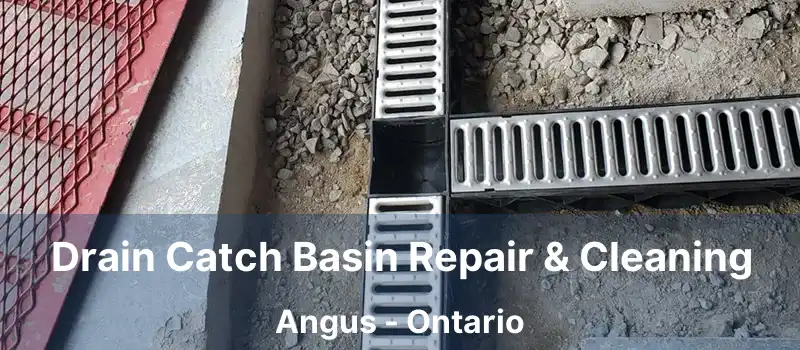  Drain Catch Basin Repair & Cleaning Angus - Ontario