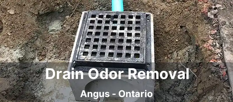  Drain Odor Removal Angus - Ontario
