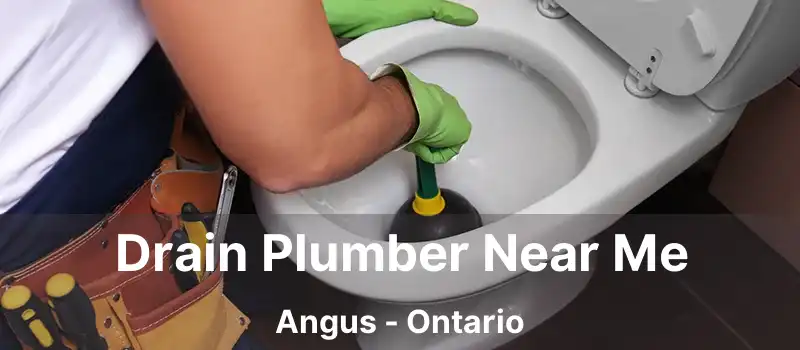  Drain Plumber Near Me Angus - Ontario