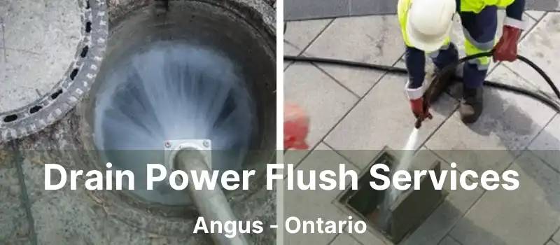  Drain Power Flush Services Angus - Ontario