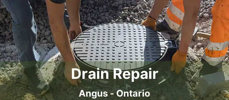  Drain Repair Angus - Ontario