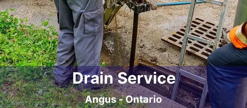  Drain Service Angus - Ontario