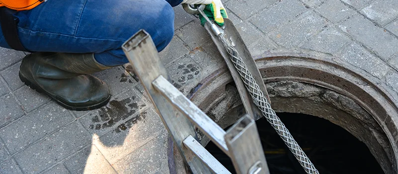 Sewer Line Plumbers Near Me in Angus, ON