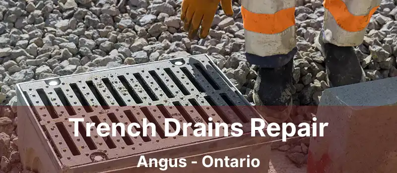  Trench Drains Repair Angus - Ontario