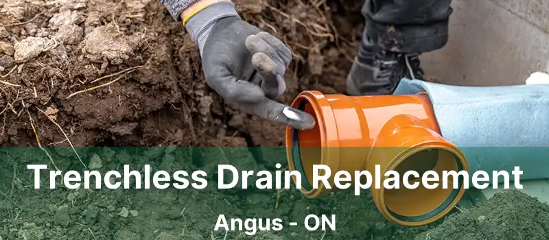  Trenchless Drain Replacement Angus - ON